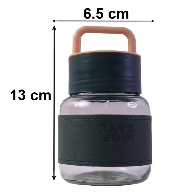 Glass Water Bottle � Stylish, Portable with Handle & Leather Sleeve
