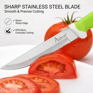 Kitchen Utility Knife � Sharp Stainless Steel Blade & Ergonomic Handle