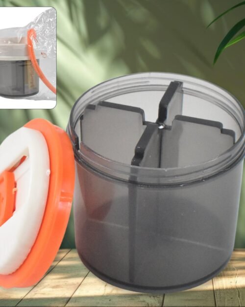 4 Section Pill Organizer – Compact Medicine Storage Box