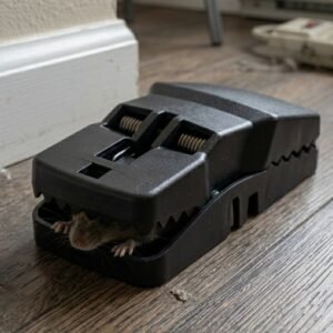 Heavy Duty Mouse Trap – Effective Rodent Catcher for Home & Office