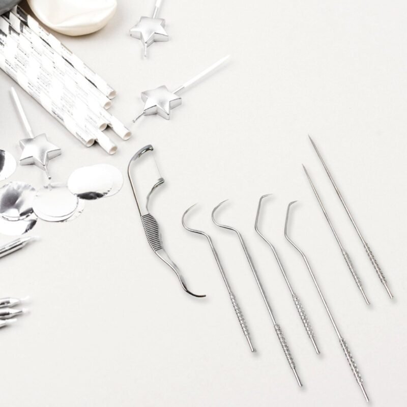 Stainless Steel Toothpick Set � 7-in-1 Portable Dental Kit | AuriGlam