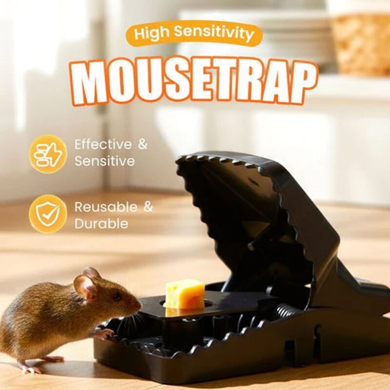 Heavy Duty Mouse Trap – Effective Rodent Catcher for Home & Office