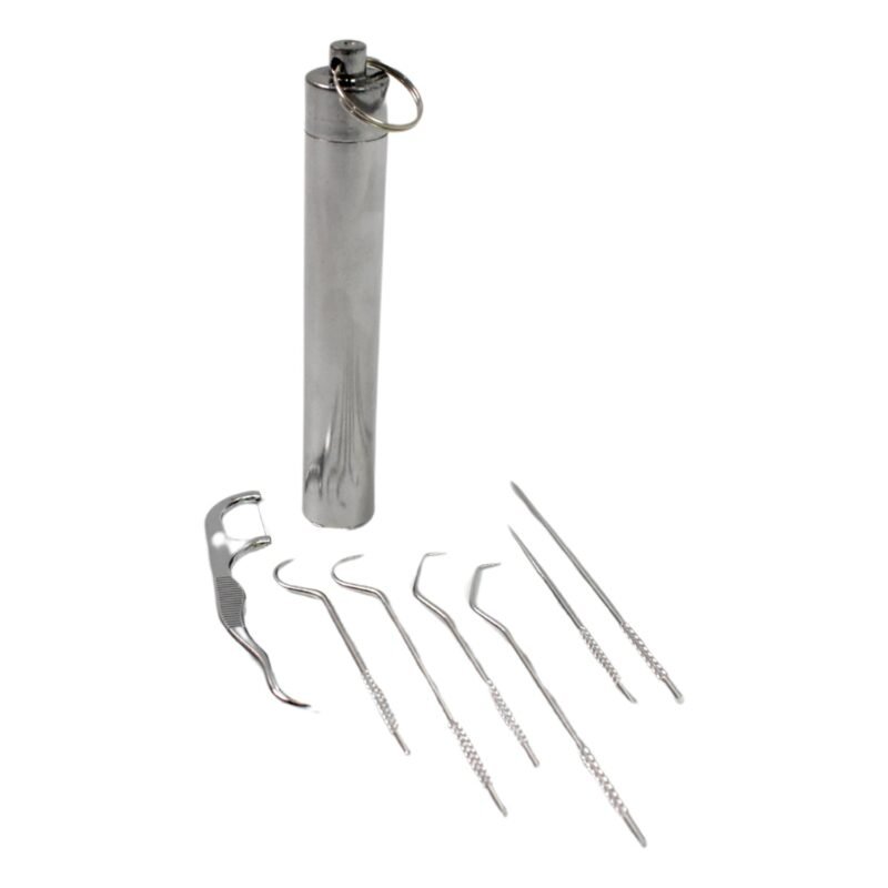 Stainless Steel Toothpick Set � 7-in-1 Portable Dental Kit | AuriGlam
