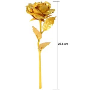 4_95bedfab-9681-489d-b5d4-419259ee304f.jpg Golden Rose Decoration Set – Elegant 3-Piece Mix Color Display