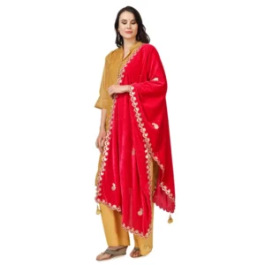 53509240597_55f9907937_o_d-1000x1000-1.webp Generic Women's Velvet Gotta Patti Dupatta (Pink, Length: 2.25 to 2.50 Mtr)