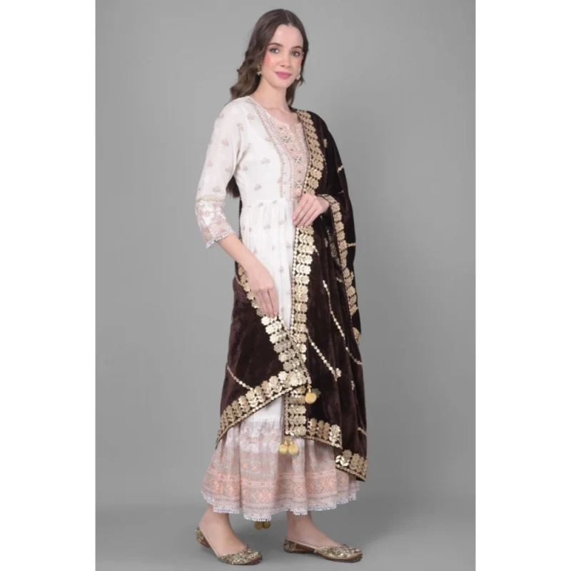 53509247477_307d1c14e5_o_d-1000x1000-1.webp Generic Women's Velvet Gotta Patti Dupatta (Brown, Length: 2.25 to 2.50 Mtr)