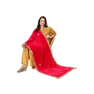 53510131101_267cf73732_o_d-1000x1000-1.webp Generic Women's Velvet Gotta Patti Dupatta (Pink, Length: 2.25 to 2.50 Mtr)
