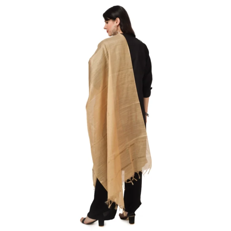 53510135511_80be9c7082_o_d-1000x1000-1.webp Generic Women's Chanderi Solid Dupatta (Gold, Length: 2.25 to 2.50 Mtr)