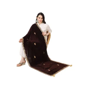 53510299143_0ef459bfe1_o_d-1000x1000-1.webp Generic Women's Velvet Gotta Patti Dupatta (Brown, Length: 2.25 to 2.50 Mtr)
