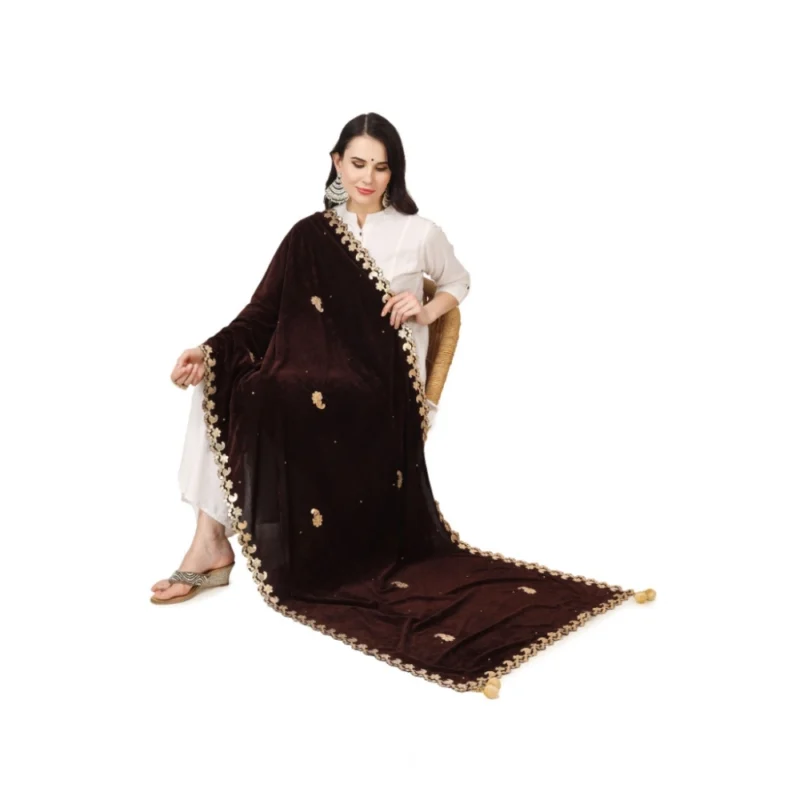 53510299143_0ef459bfe1_o_d-1000x1000-1.webp Generic Women's Velvet Gotta Patti Dupatta (Brown, Length: 2.25 to 2.50 Mtr)