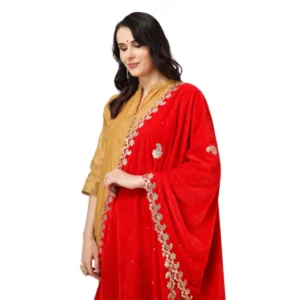 53510448219_7be1af5dc1_o_d-1000x1000-1.webp Generic Women's Velvet Gotta Patti Dupatta (Red, Length: 2.25 to 2.50 Mtr)