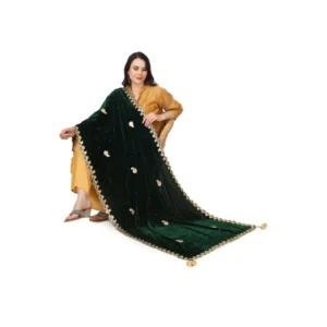53510450894_171ae5f621_o_d-1000x1000-1.webp Generic Women's Velvet Gotta Patti Dupatta (Green, Length: 2.25 to 2.50 Mtr)