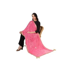 53510559975_7568ded46e_o_d-1000x1000-1.webp Generic Women's Velvet Gotta Patti Dupatta (Pink, Length: 2.25 to 2.50 Mtr)