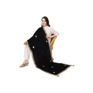 53510562315_b0e8f40583_o_d-1000x1000-1.webp Generic Women's Velvet Gotta Patti Dupatta (Black, Length: 2.25 to 2.50 Mtr)