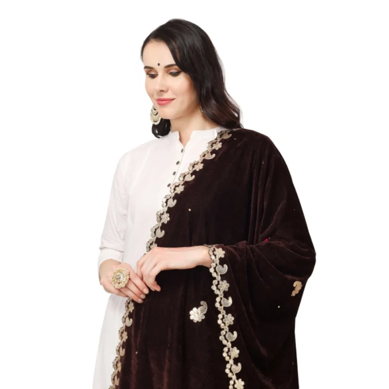 53510562340_6e912ae796_o_d-1000x1000-1.webp Generic Women's Velvet Gotta Patti Dupatta (Brown, Length: 2.25 to 2.50 Mtr)