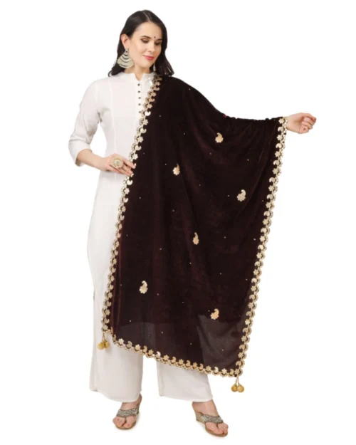 53510562375_f1366bb080_o_d-1000x1000-1.webp Generic Women's Velvet Gotta Patti Dupatta (Brown, Length: 2.25 to 2.50 Mtr)