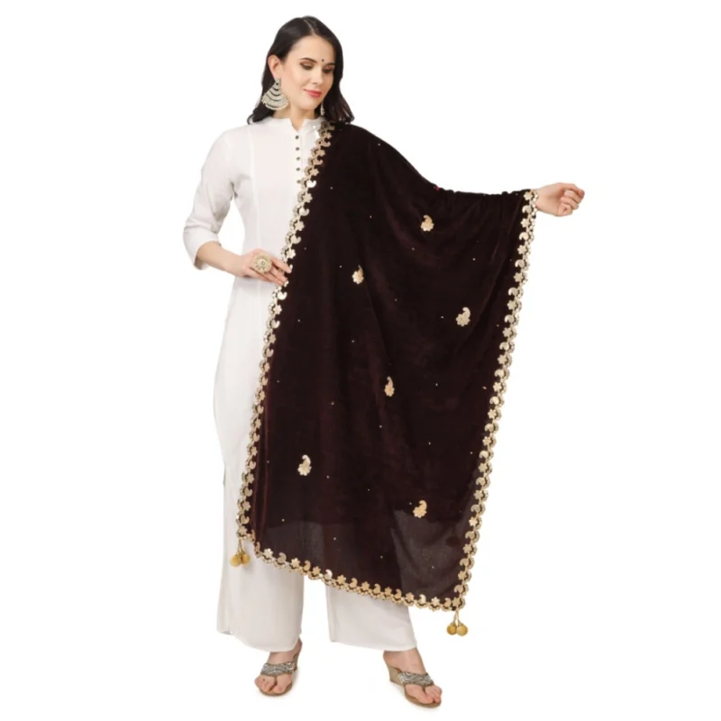 53510562375_f1366bb080_o_d-1000x1000-1.webp Generic Women's Velvet Gotta Patti Dupatta (Brown, Length: 2.25 to 2.50 Mtr)