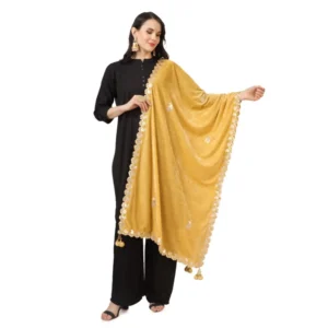 53510563830_0e4030c302_o_d-1000x1000-1.webp Generic Women's Velvet Gotta Patti Dupatta (Yellow, Length: 2.25 to 2.50 Mtr)