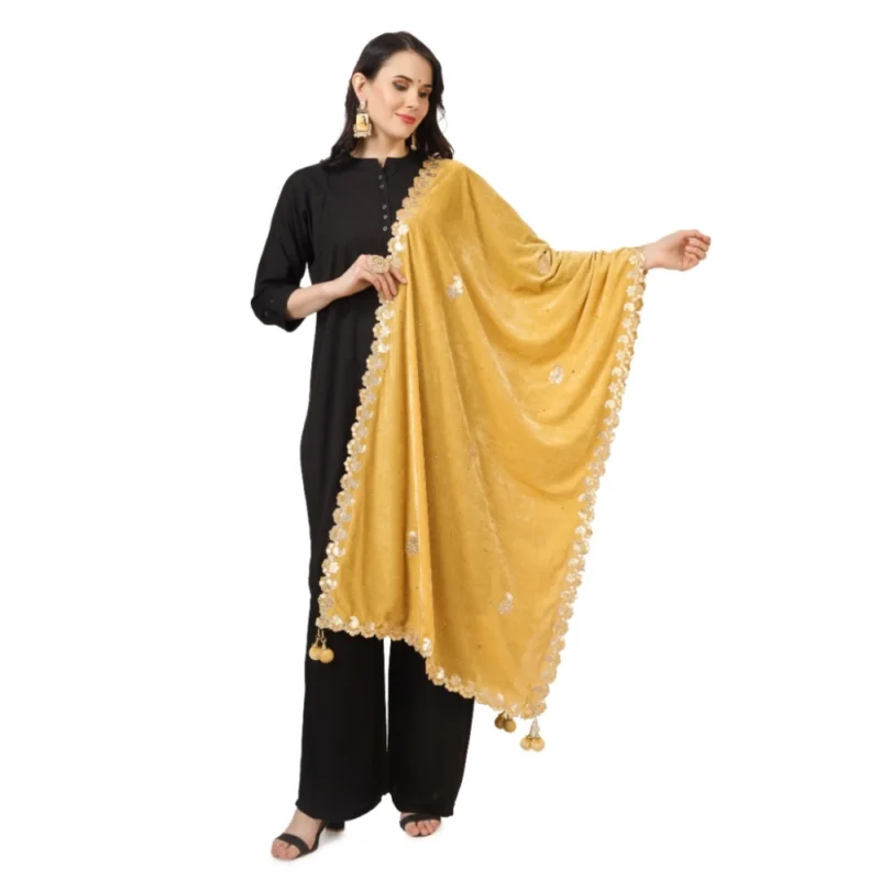 53510563830_0e4030c302_o_d-1000x1000-1.webp Generic Women's Velvet Gotta Patti Dupatta (Yellow, Length: 2.25 to 2.50 Mtr)
