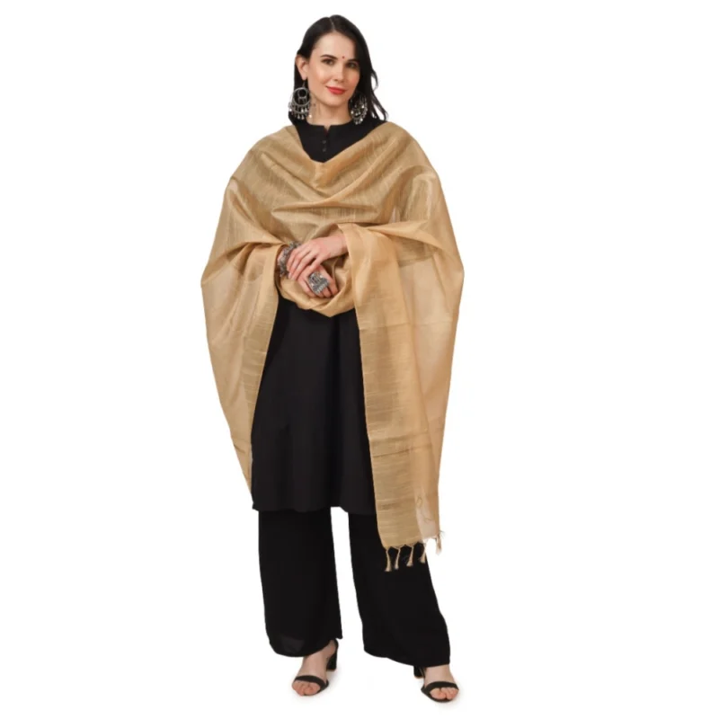 53510566950_6c1202e56b_o_d-1000x1000-1.webp Generic Women's Chanderi Solid Dupatta (Gold, Length: 2.25 to 2.50 Mtr)