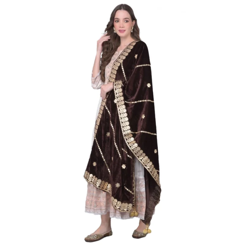 53512340574_e9a5a34fd1_o_d-1000x1000-1.webp Generic Women's Velvet Gotta Patti Dupatta (Brown, Length: 2.25 to 2.50 Mtr)