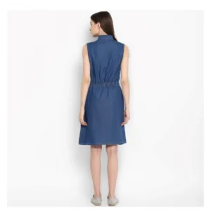54034892626_ce27268176_o_d-1000x1000-1.webp Generic Women's Denim Solid Sleeveless Above Knee Dress (Blue)