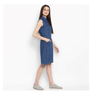 54035144278_61f23457da_o_d-1000x1000-1.webp Generic Women's Denim Solid Sleeveless Above Knee Dress (Blue)