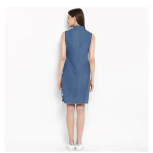 54035347735_8d3642e2cd_o_d-1000x1000-1.webp Generic Women's Denim Solid Sleeveless Above Knee Dress (Blue)