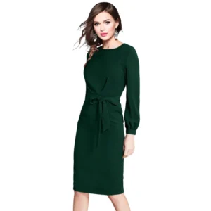 54163245678_947f699f1c_o_d-1000x1000-1.webp Generic Women's Knitting stretchable Solid Round Neck Full Sleeve Dress (Green)
