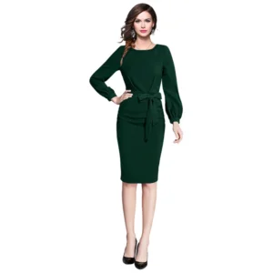 54163285819_ebcb0e3dc6_o_d-1000x1000-1.webp Generic Women's Knitting stretchable Solid Round Neck Full Sleeve Dress (Green)