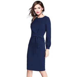 54163426475_03150f9db9_o_d-1000x1000-1.webp Generic Women's Knitting stretchable Solid Round Neck Full Sleeve Dress (Blue)