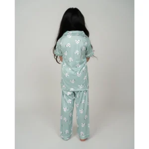 54279777842_35398d1422_o_d-1000x1000-1.webp Generic Girl's Silk Bleand Printed Short Sleeve Night Suit Set (Light Green)