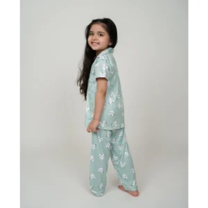 54280659236_ba38e7c758_o_d-1000x1000-1.webp Generic Girl's Silk Bleand Printed Short Sleeve Night Suit Set (Light Green)