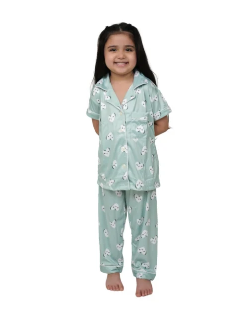 Generic Girl's Silk Bleand Printed Short Sleeve Night Suit Set (Light Green)