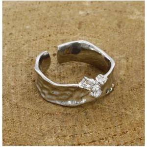 54318554691_b6f07c1742_o_d-1000x1000-1.webp Generic Stainless Steel Silver Polish Freesize Western Finger Ring (Silver Plated)