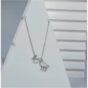 54318785238_92513f787f_o_d-1000x1000-1.webp Generic Women's Stainless Steel Imported Stanless Steel Pendent Chain (Silver Plated)
