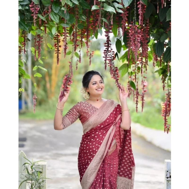 54456612077_f162f02ea1_o_d-1000x1000-1.webp Generic Women's Silk Printed Saree With Unstitched Blouse 5.5Mtr (Maroon)