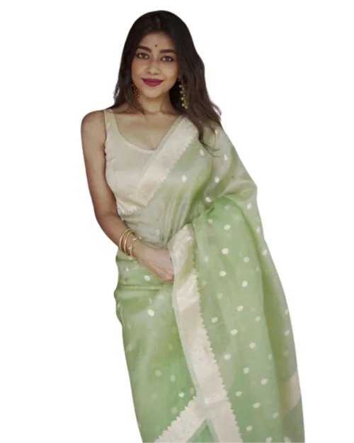 Generic Women's Cotton  Printed Saree With Unstitched Blouse 5.5Mtr (Pista)