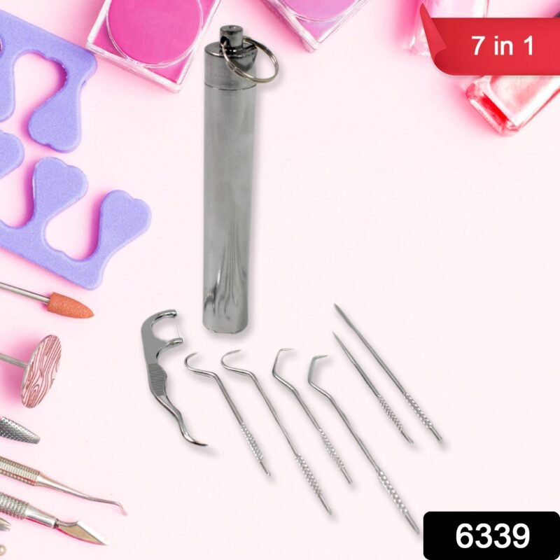 Stainless Steel Toothpick Set � 7-in-1 Portable Dental Kit | AuriGlam
