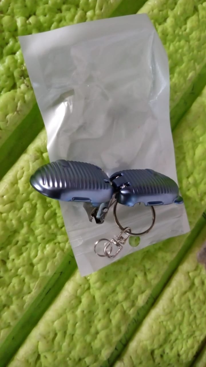 8f3140c4-ee89-45a0-8288-d5c1cbd1e9ff.jpg Keychain Nail Clipper � Portable with Built-in File | AuriGlam
