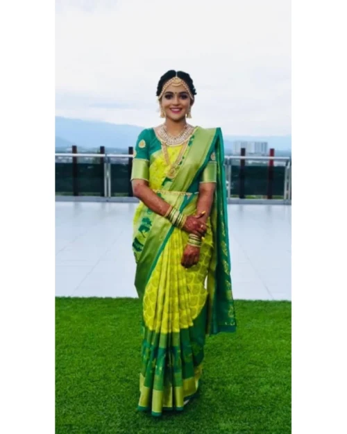 Generic Women's Litchi silk Printed Saree With Unstitched Blouse (Light Green)