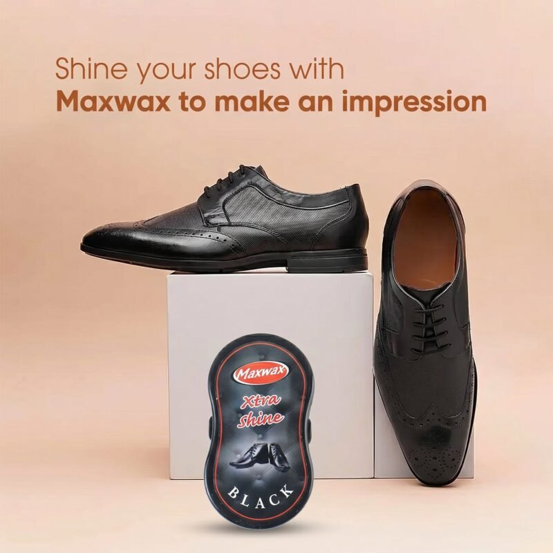 Shoe Shiner � Instant Shine with Built-in Sponge Applicator