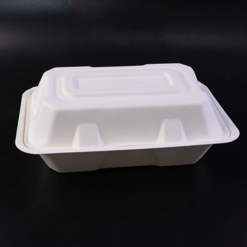 Clamshell-02.jpg Bagasse Clamshell Food Box – Eco-Friendly 9x6 Inch Disposable Set
