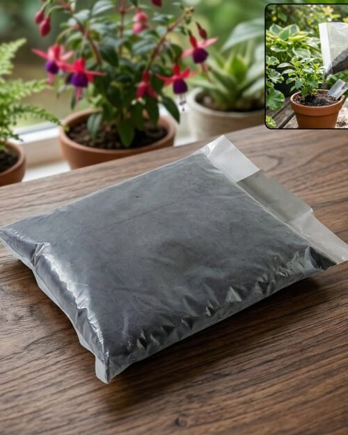 Organic Coco Peat Powder – Natural Soil Conditioner for Plants