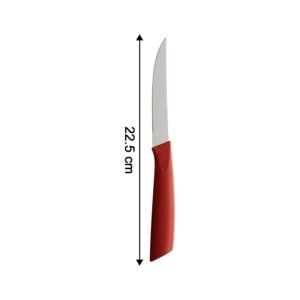 Knife-06_d8a4b64a-8e71-4c72-afd5-b3cb02dbc749.jpg Stainless Steel Fruit Knife Set – Sharp & Ergonomic 3-Piece