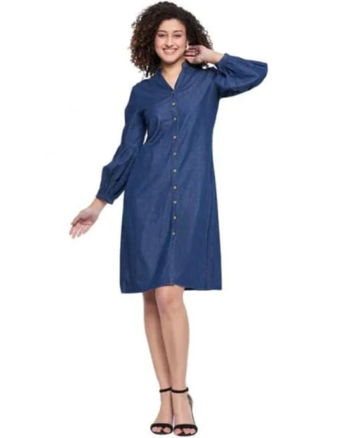 Generic Women's Casual Denim Full sleeve Dress (Blue)
