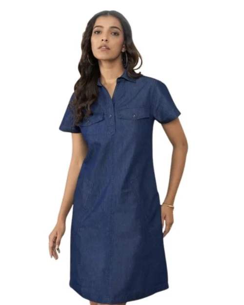 Generic Women's Casual Denim Half Sleeves Dress (Blue)