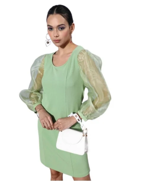 Generic Women's Organza And Polyester Lycra Solid Long Sleeves Dress (Green)