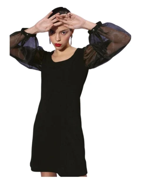 Generic Women's Organza And Polyester Lycra Solid Long Sleeves Dress (Black)