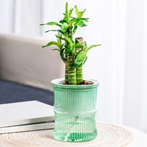Self-Watering Bamboo Style Plastic Flower Pot � Easy Indoor Plant Care